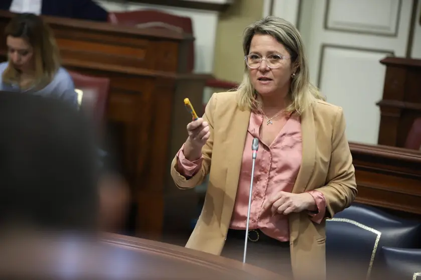 Imagen de Alicia Vanoostende en el Parlamento